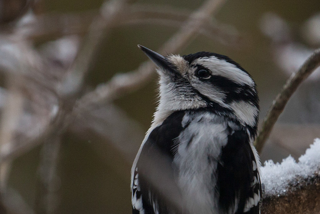 %_tempFileName20150409_1959w%