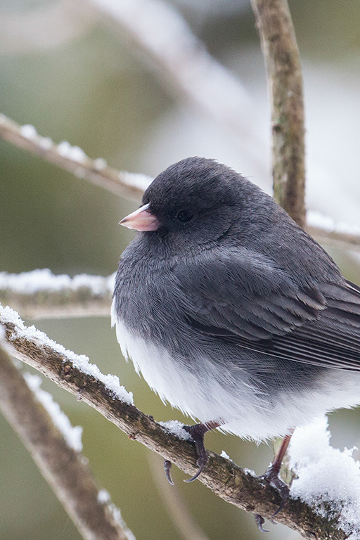 %_tempFileName20150409_2049w%