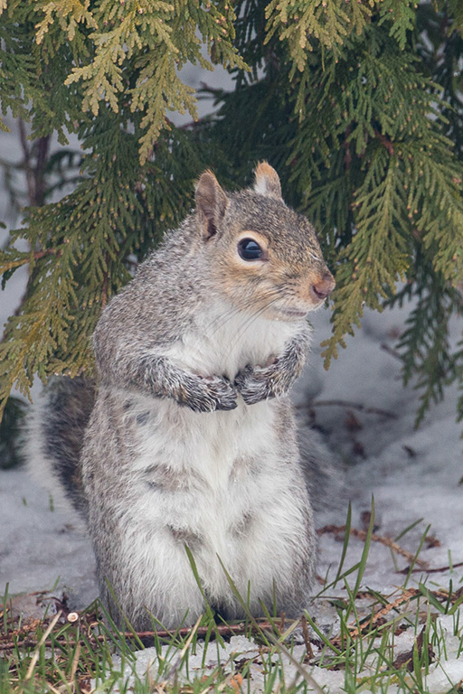 %_tempFileName20150409_2278w%