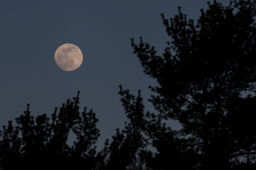 %_tempFileName20150502_2840w%