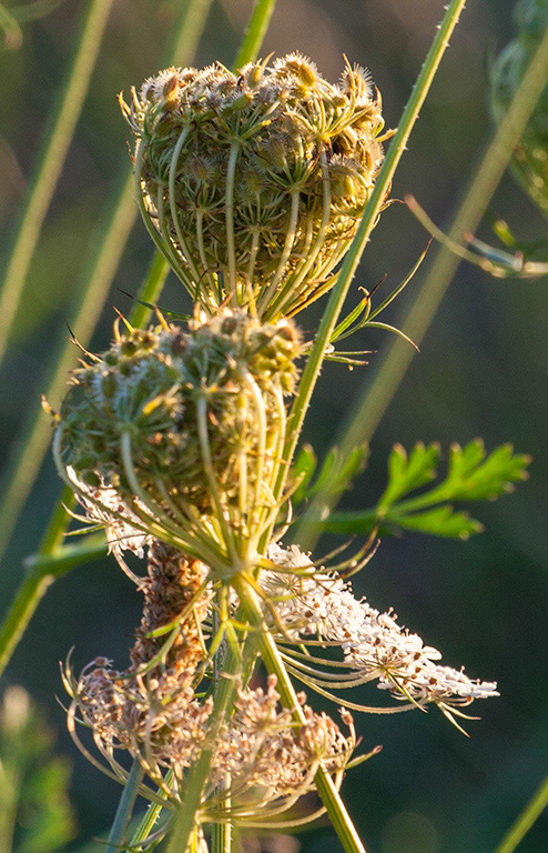 %_tempFileName20160823_2849w%