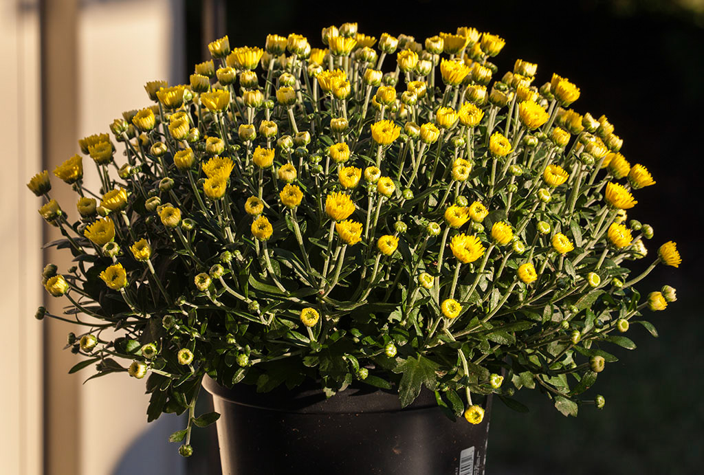 %_tempFileName20160823_2868w%