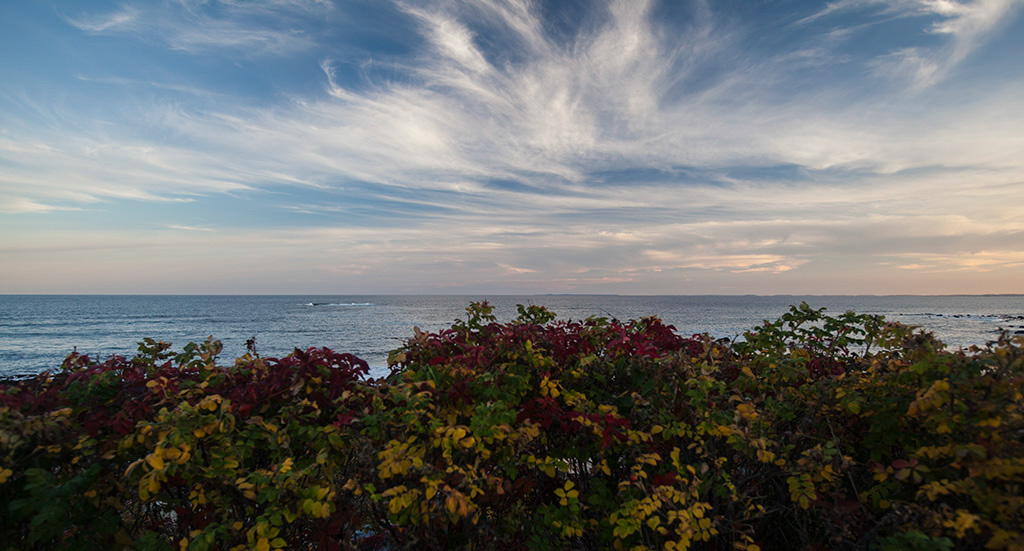 %_tempFileName20161015_3537w%