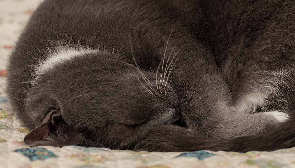 %_tempFileName20160315_0175w%