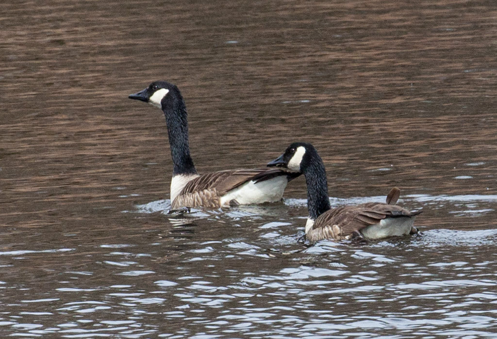 %_tempFileName20160318_0153w%