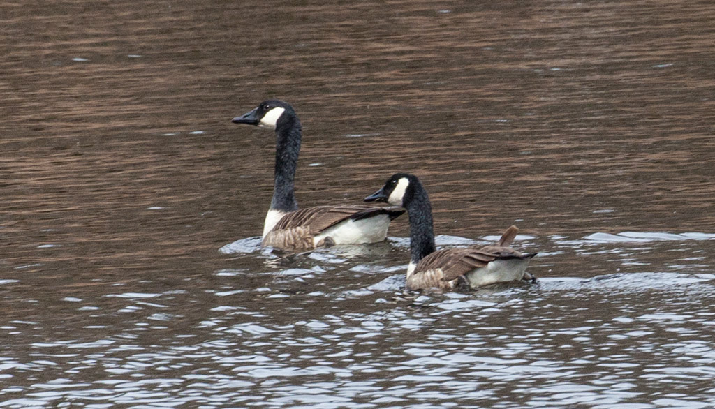 %_tempFileName20160318_0154w%