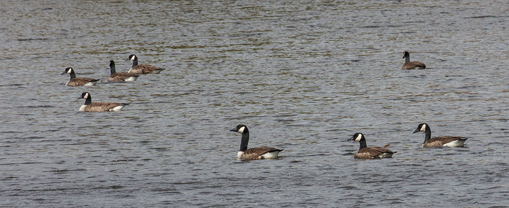 %_tempFileName20160318_0165w%