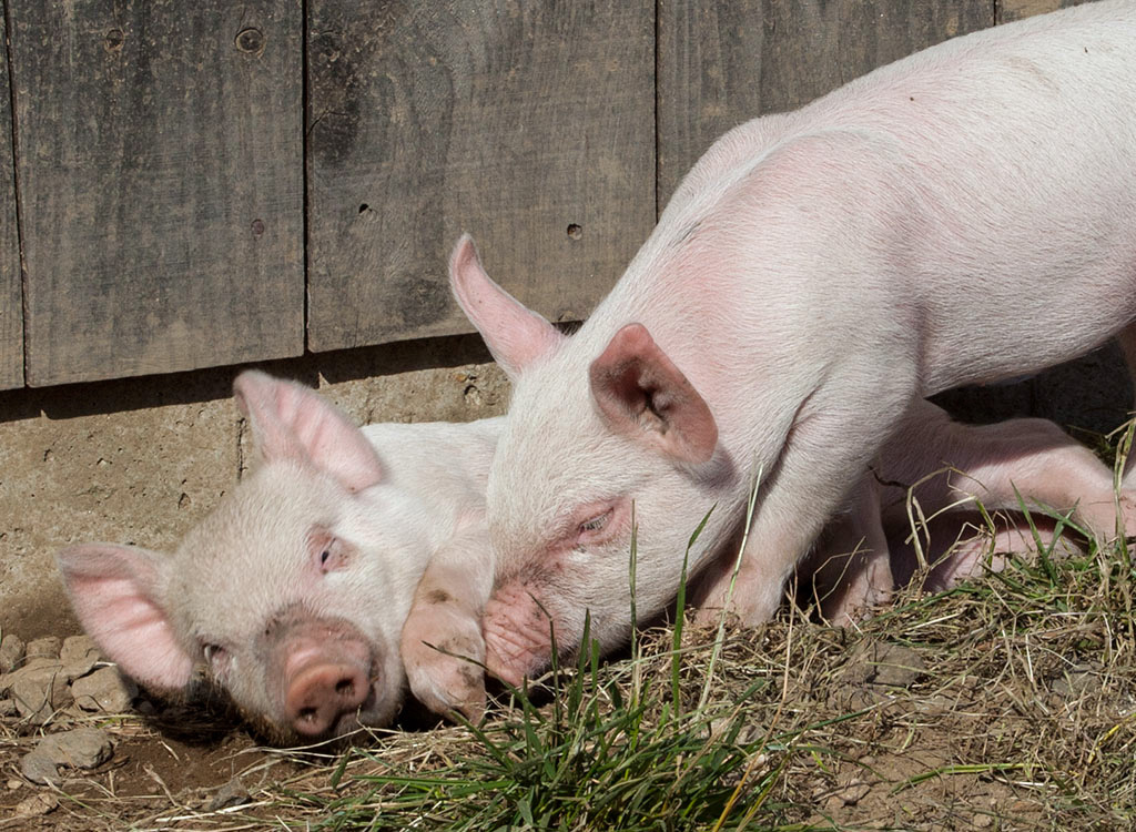 %_tempFileName20161016_3653w%