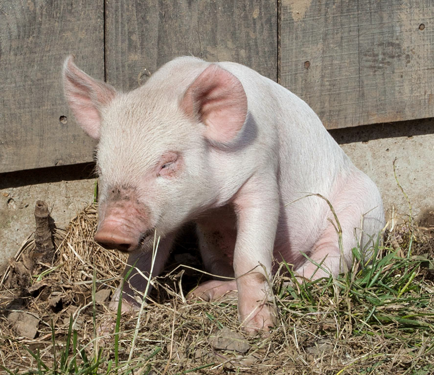 %_tempFileName20161016_3654w%