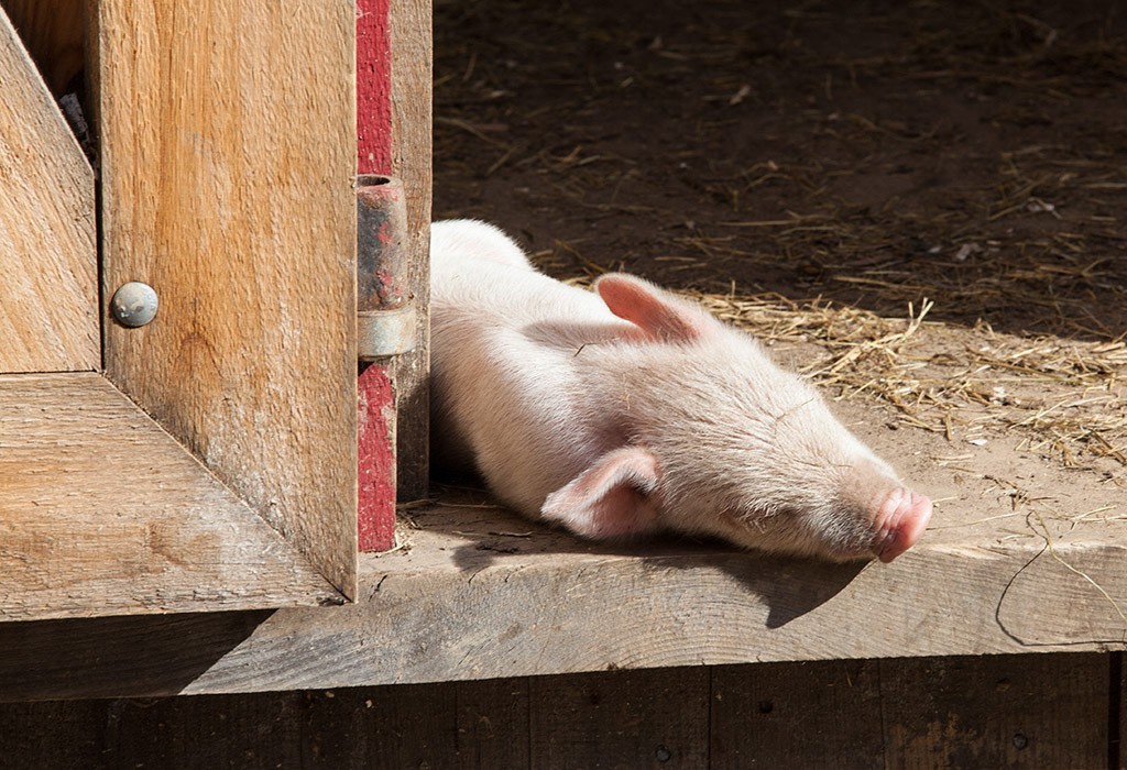 %_tempFileName20161016_3658w%