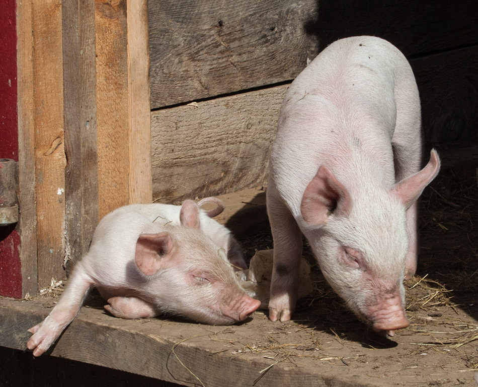 %_tempFileName20161016_3659w%