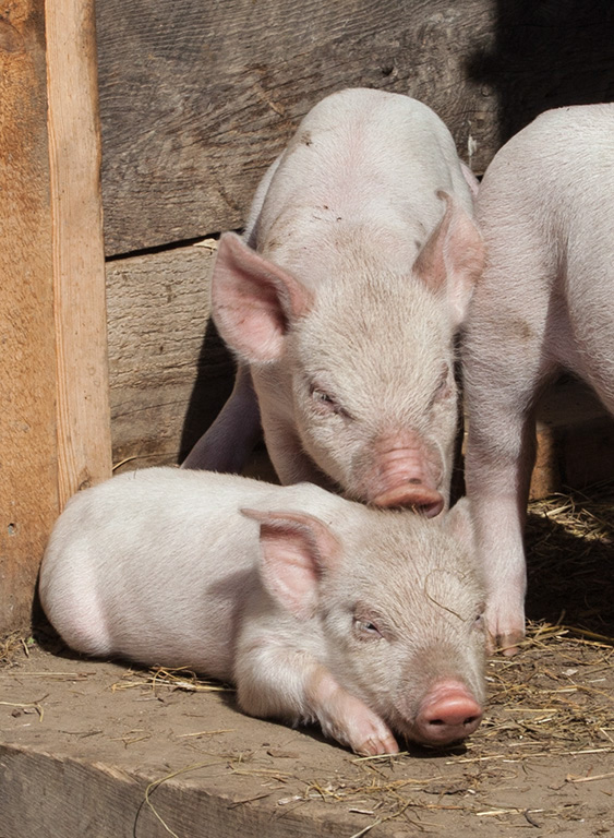 %_tempFileName20161016_3661w%