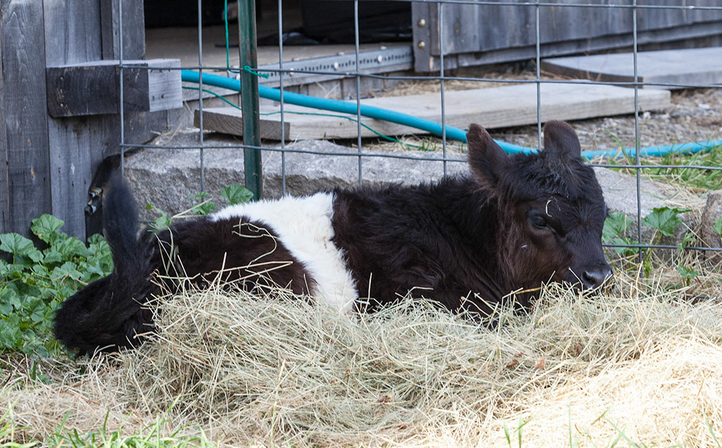 %_tempFileName20161016_3669w%