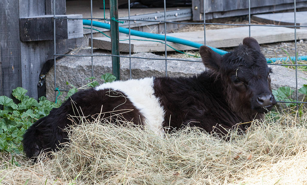 %_tempFileName20161016_3671w%