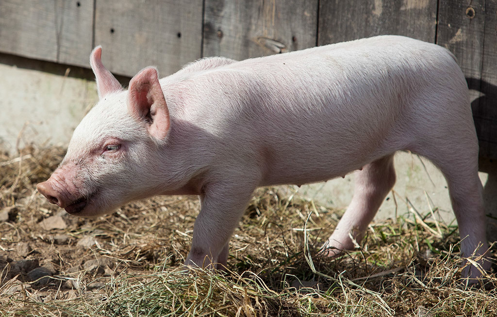 %_tempFileName20161016_3672w%