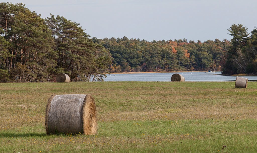 %_tempFileName20161016_3676w%