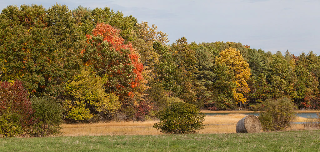 %_tempFileName20161016_3677w%