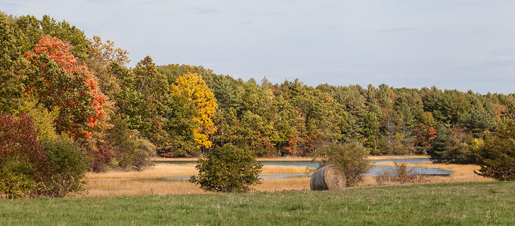 %_tempFileName20161016_3678w%