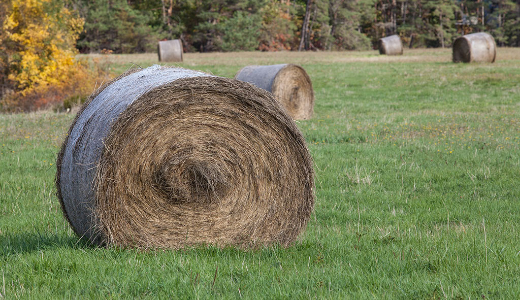 %_tempFileName20161016_3680w%