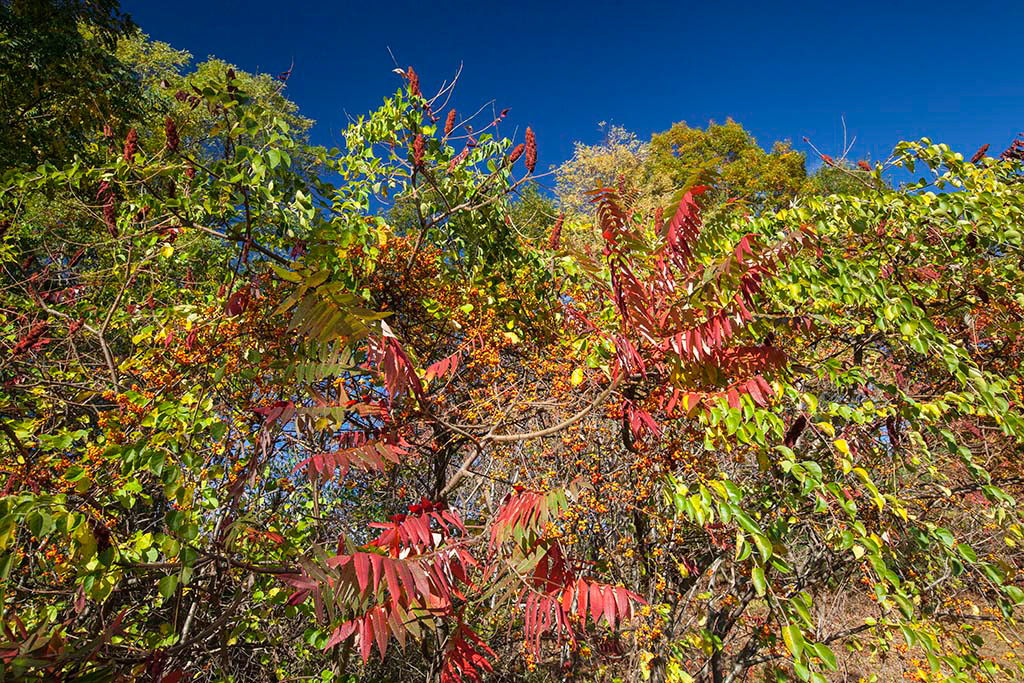 %_tempFileName20161025_3746w%