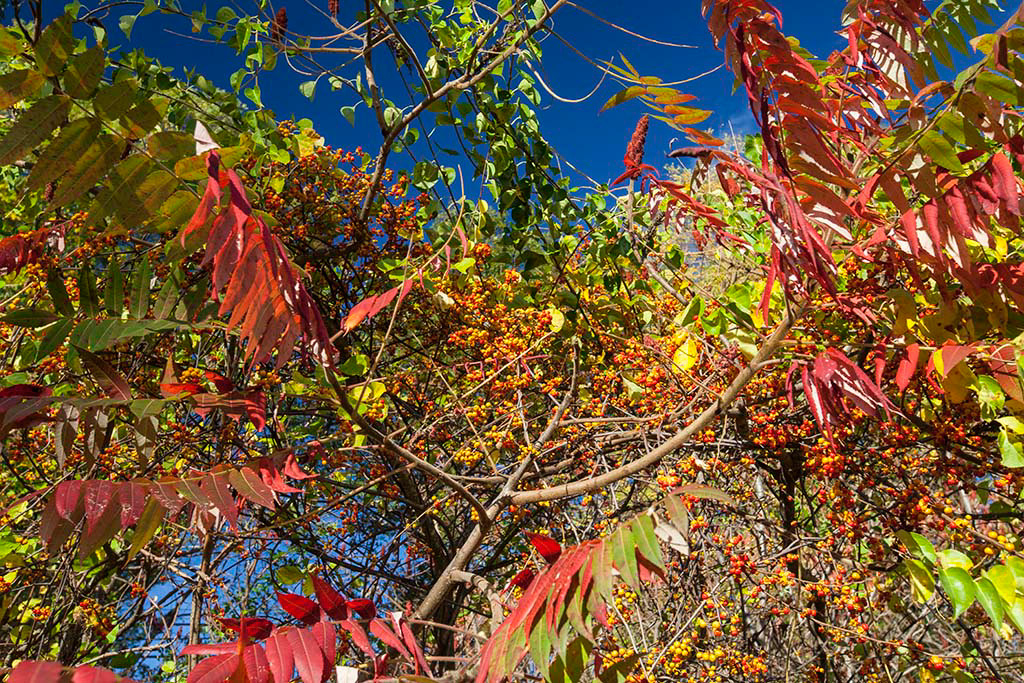 %_tempFileName20161025_3748w%