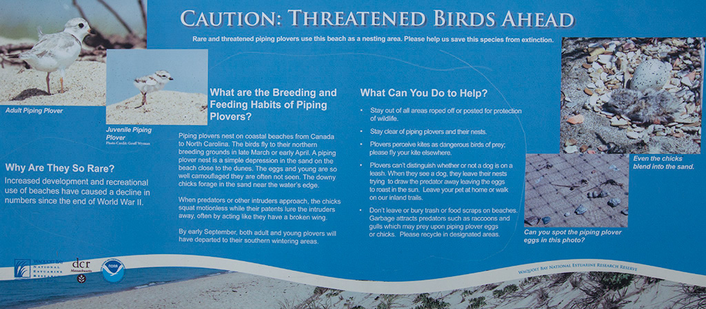 %_tempFileName20161030_3806w%