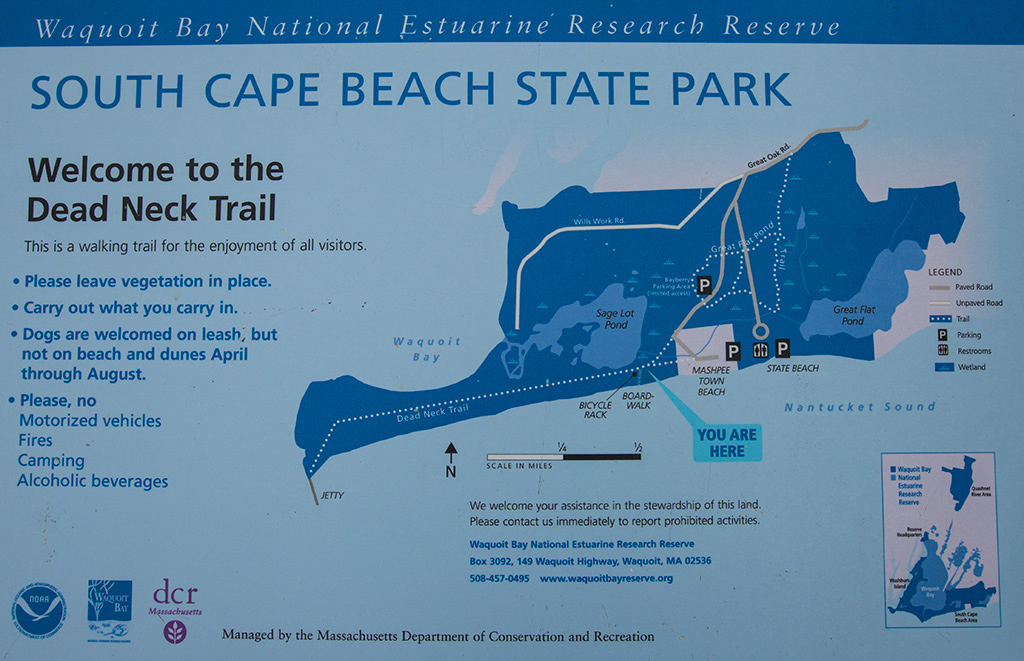 %_tempFileName20161030_3808w%