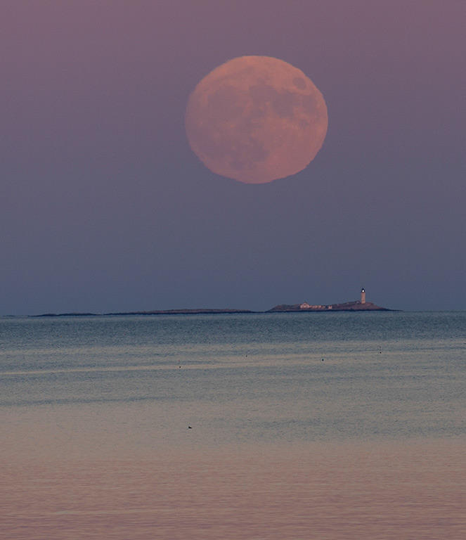 %_tempFileName20161113_3941w%