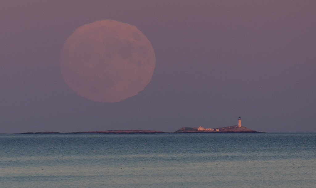 %_tempFileName20161113_4005w%