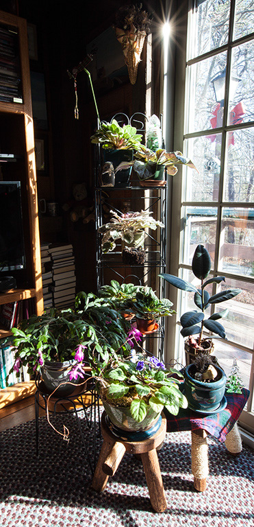 %_tempFileName20161226_4253w%