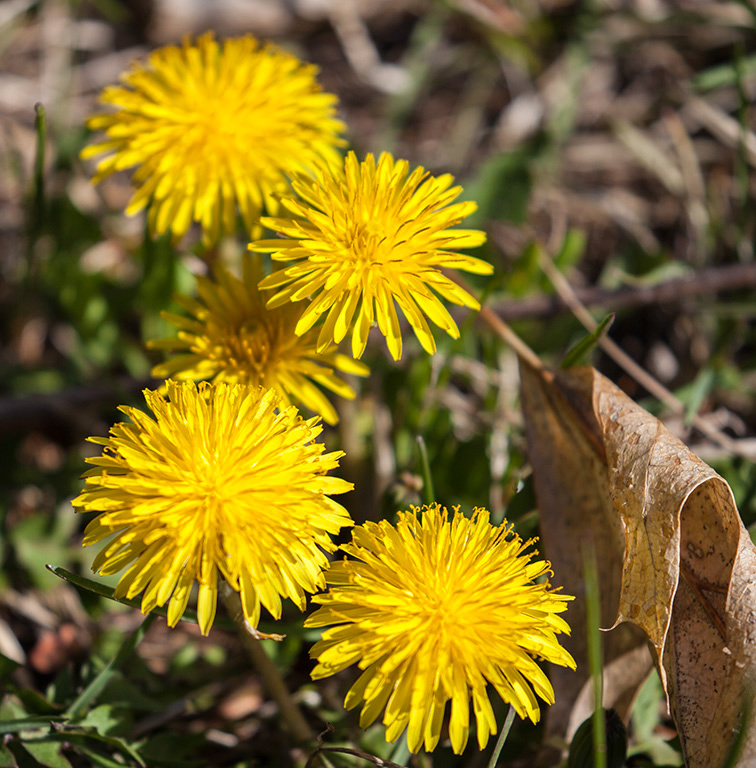 %_tempFileName20160424_0266w%