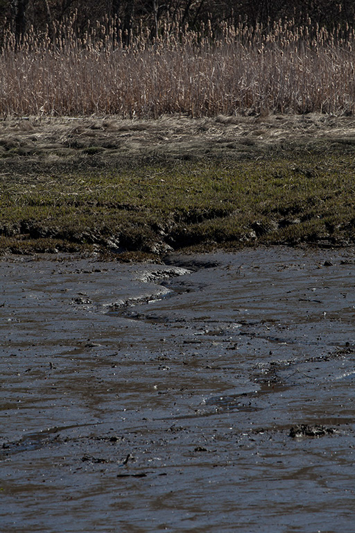 %_tempFileName20160424_0282w%