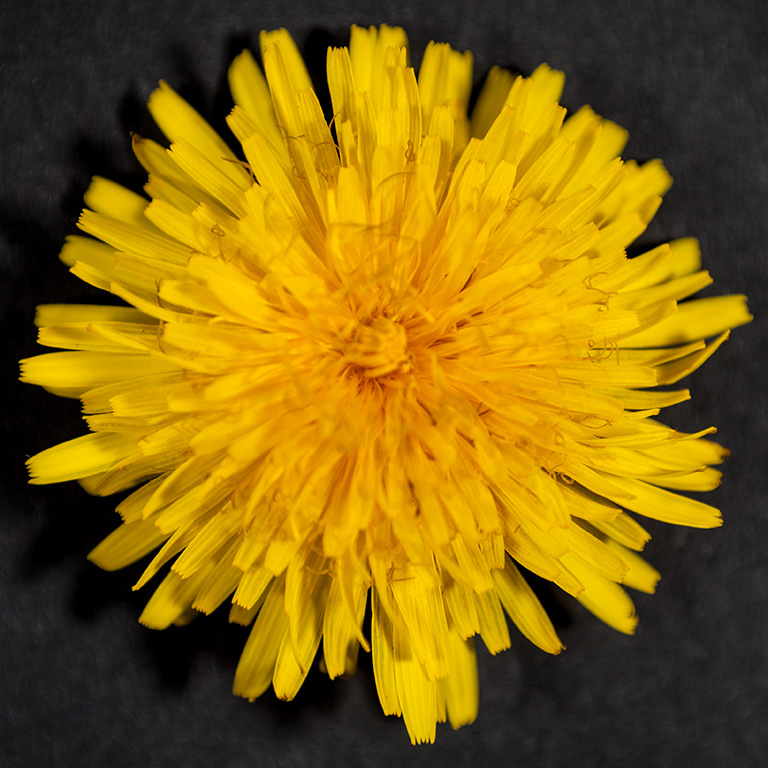 %_tempFileName20160425_0234w%