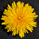 %_tempFileName20160425_0234w%