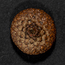 %_tempFileName20160425_0239w%