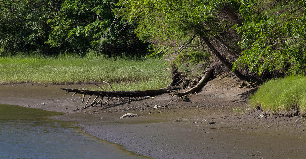 %_tempFileName20160702_1582w%