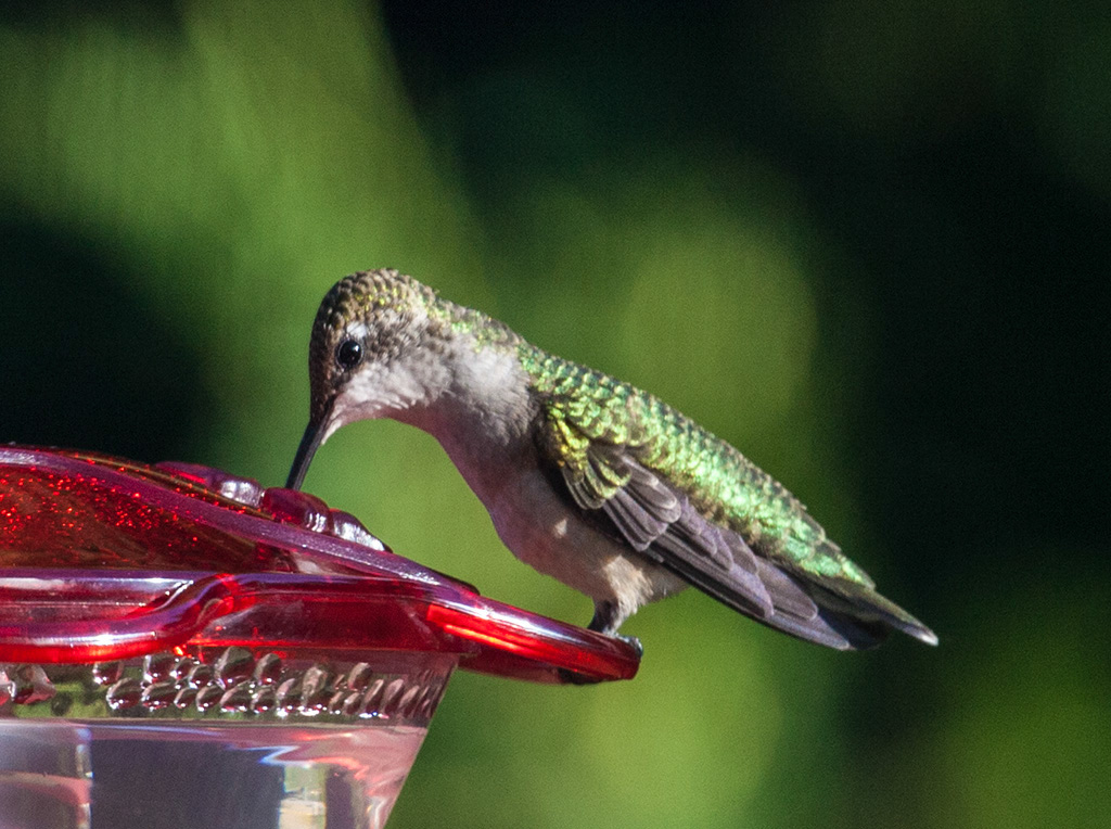 %_tempFileName20160804_2152w%