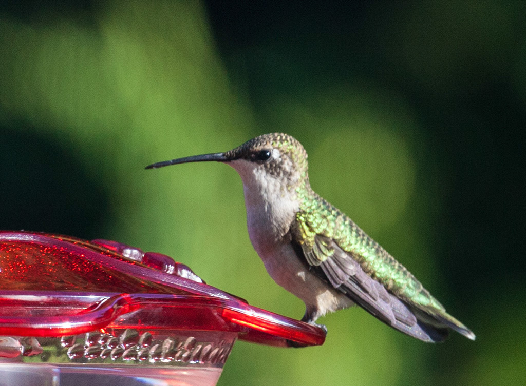 %_tempFileName20160804_2154w%