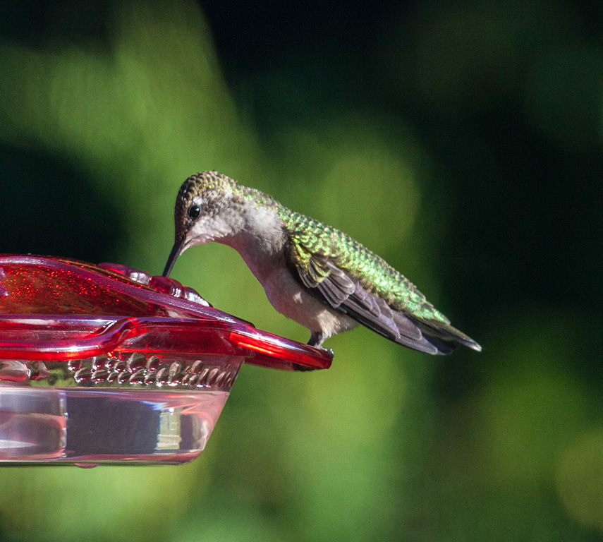 %_tempFileName20160804_2156w%