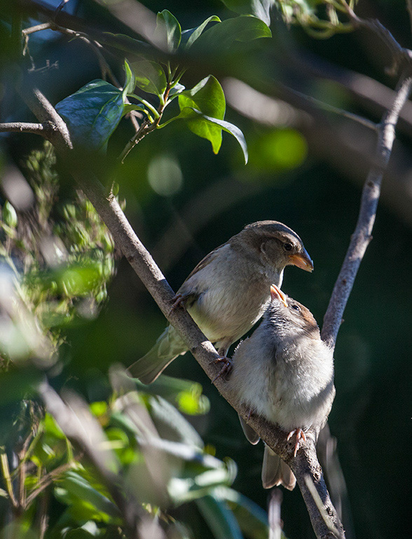 %_tempFileName20160804_2157w%