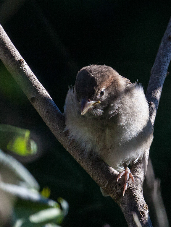 %_tempFileName20160804_2168w%