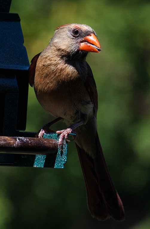 %_tempFileName20160804_2232w%