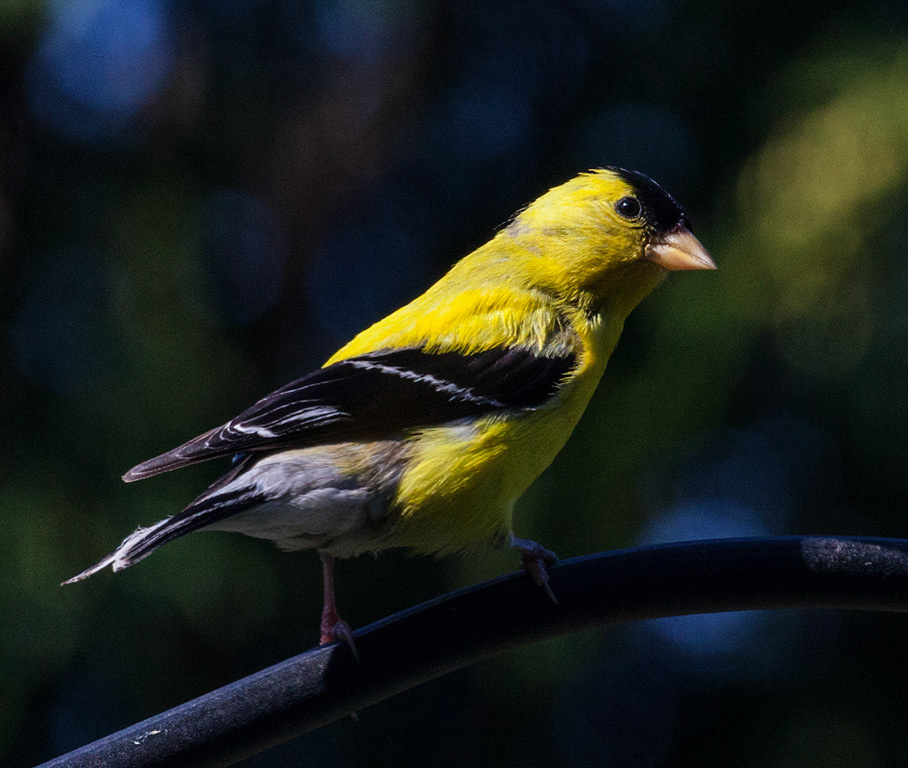 %_tempFileName20160804_2284w%