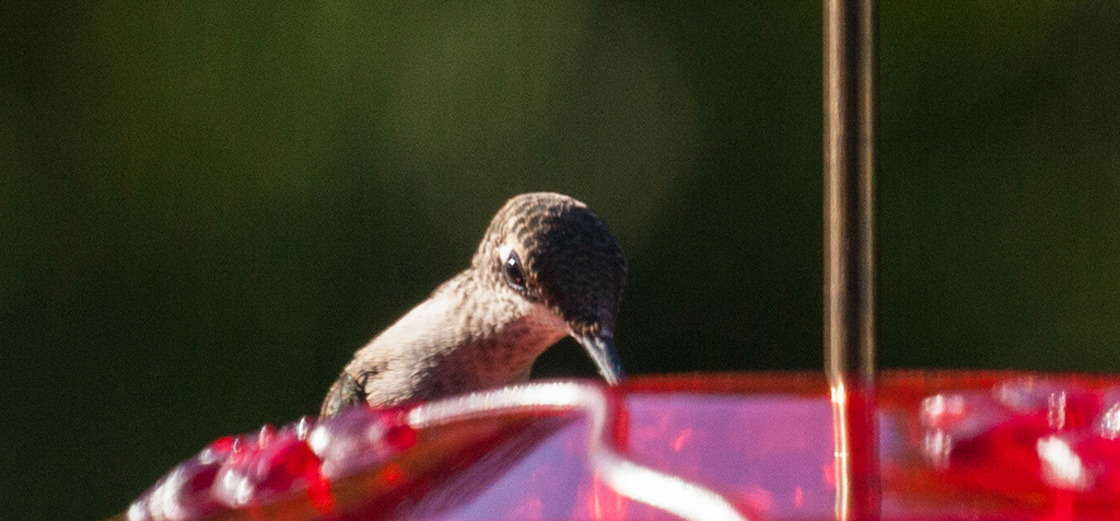 %_tempFileName20160804_2304w%