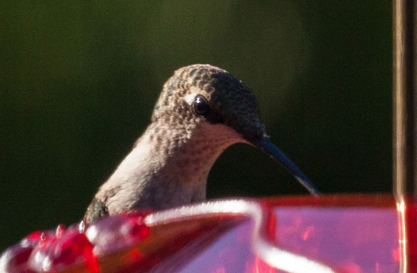 %_tempFileName20160804_2309w%