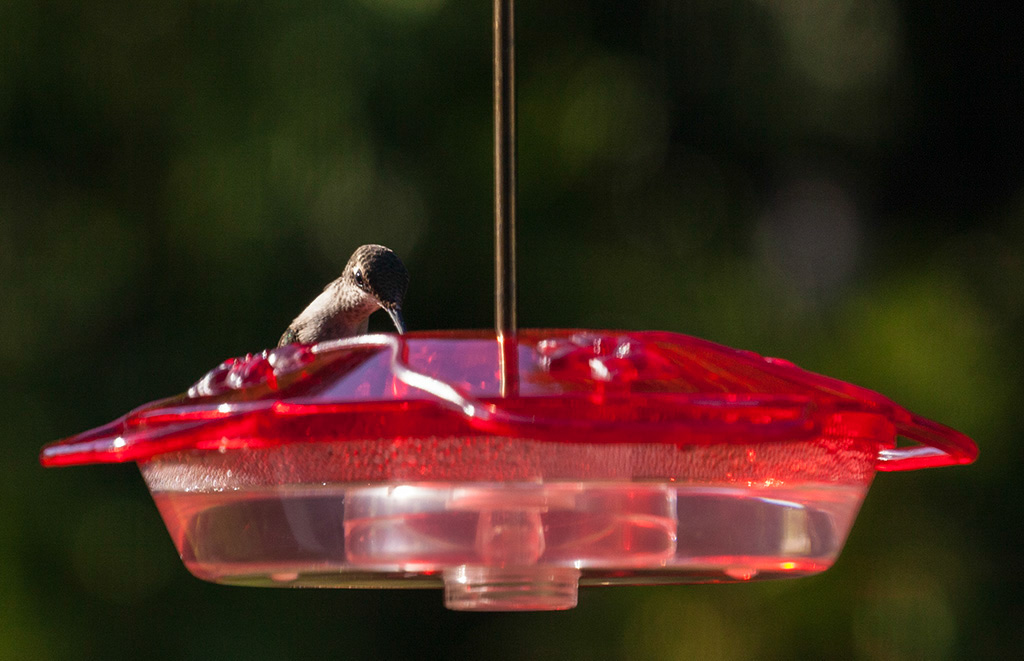 %_tempFileName20160804_2310w%