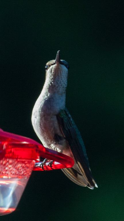 %_tempFileName20160804_2334w%