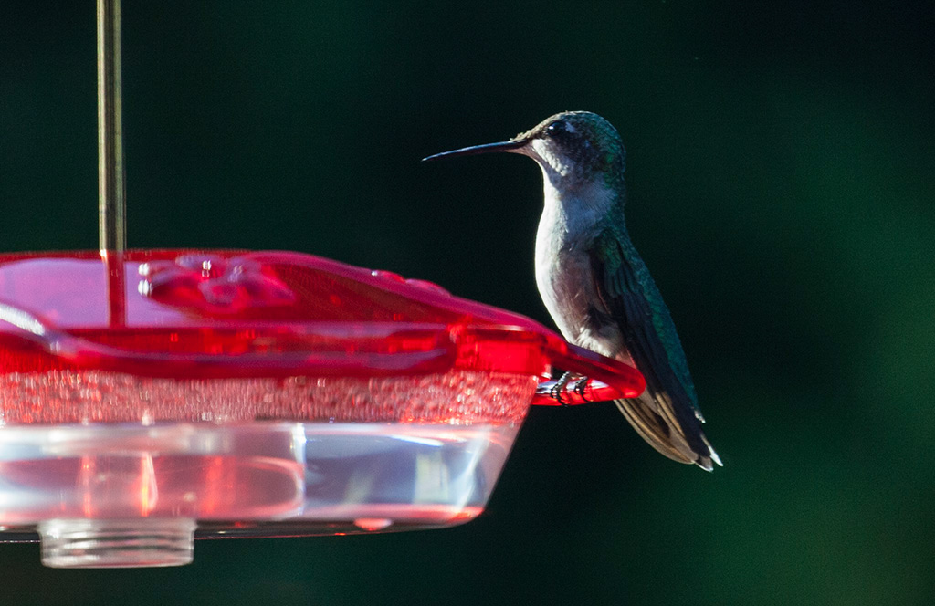 %_tempFileName20160804_2341w%