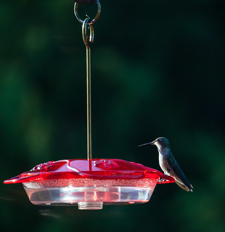 %_tempFileName20160804_2342w%