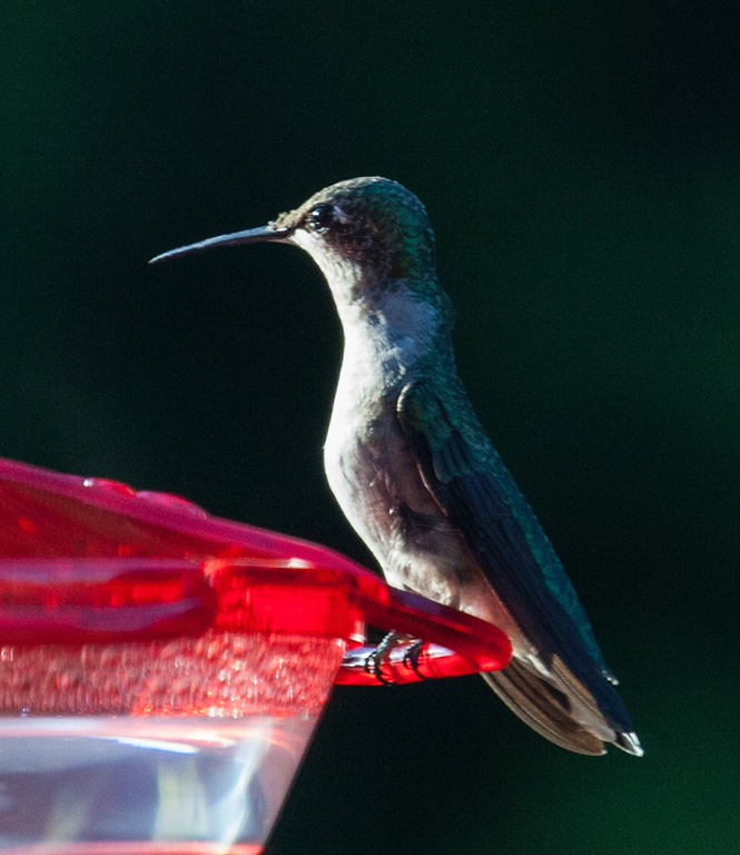 %_tempFileName20160804_2346w%